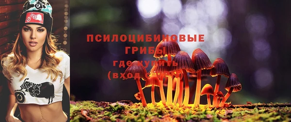 герыч Бронницы