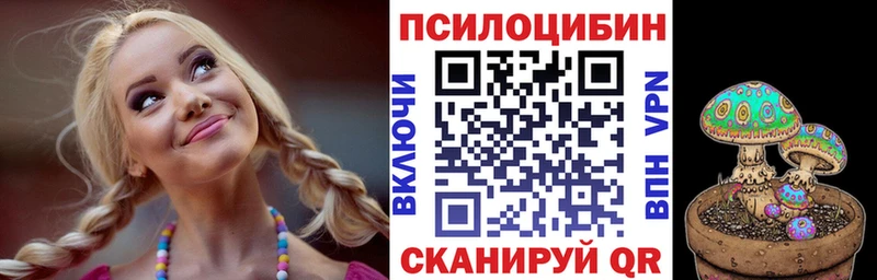 Псилоцибиновые грибы мицелий Купить Заполярный