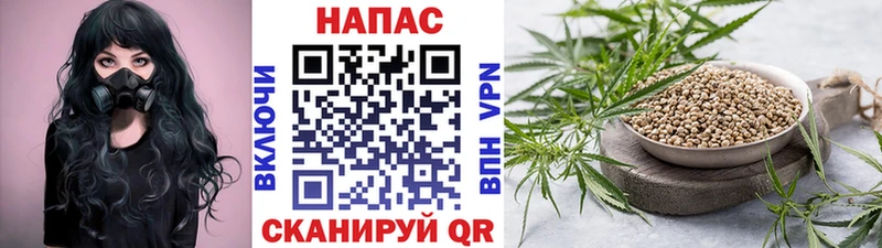 Купить  Заполярный  Бошки марихуана ГИДРОПОН 
